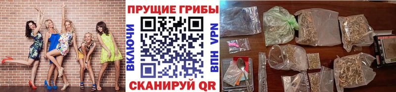 купить закладку hydra ссылка Галлюциногенные грибы GOLDEN TEACHER Кочубеевское